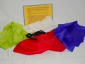 Obedient Silks by Rice