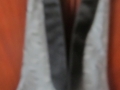 18-24 Silverslingback vest