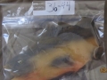 36-44 Rubber Fish