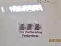 36-57 Performing Pachyderm