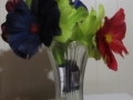 Flower6